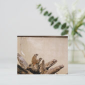 メルカットルックアウト ポストカード (スタンド正面)