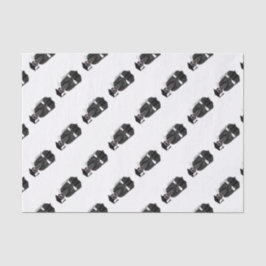 メルカット大学院W/グレーガウン&ブラックサッシ 薄葉紙