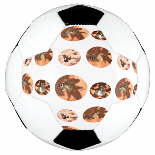 メルカット球形状、サッカーボール サッカーボール (正面)