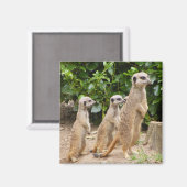 メルカット磁石2 マグネット (正面/裏面)