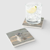 メルカット004 ストーンコースター (横)