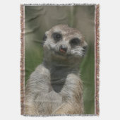 メルカット004 スローブランケット (正面縦)