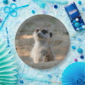 メルカット004 ペーパープレート (パーティー)