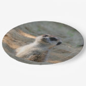 メルカット004 ペーパープレート (アングル)