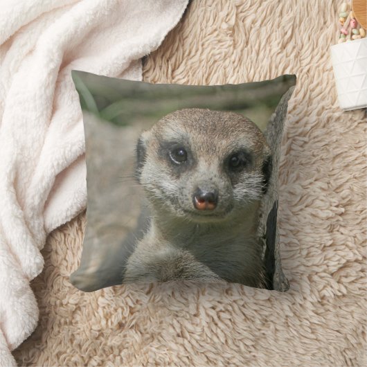 メルカット005 クッション (ブランケット)