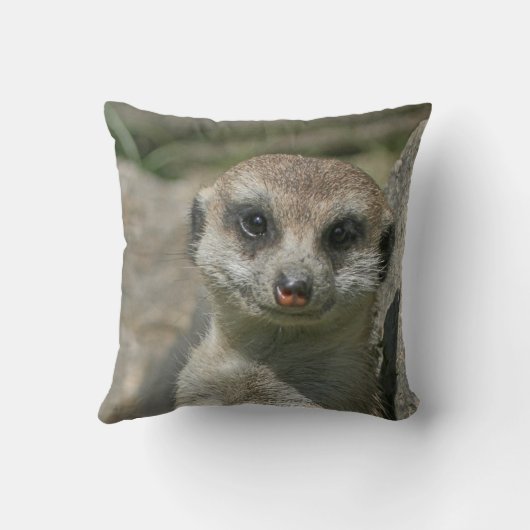 メルカット005 クッション (裏面)