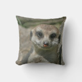 メルカット005 クッション (正面)