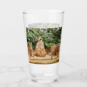 メルカット008 タンブラーグラス (裏面)