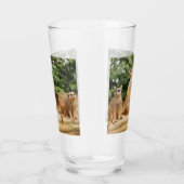 メルカット008 タンブラーグラス (右)