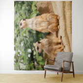 メルカット009 タペストリー (インサイチュ)