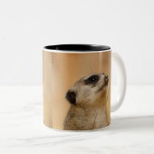 メルカット011 ツートーンマグカップ (正面右)