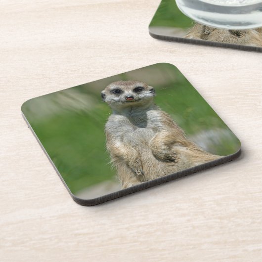 メルカット013 コースター (左側)