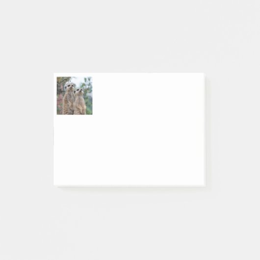 メルカット013 ポストイット (正面)