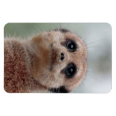 メルカット020 マグネット (横)