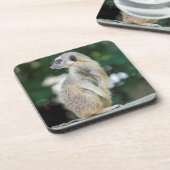 メルカット025 コースター (左側)