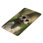 メルカット034 マグネット (左側)