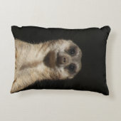 メルカット040 アクセントクッション (裏面)