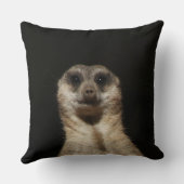 メルカット040 クッション (裏面)