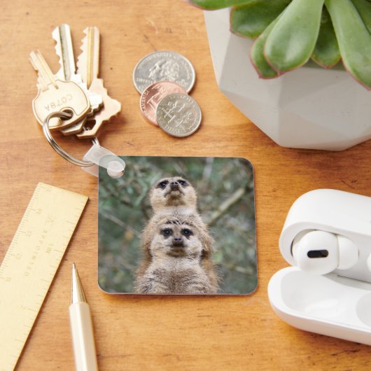 メルカット081 キーホルダー (デスク)