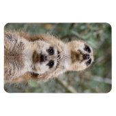 メルカット081 マグネット (横)