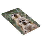 メルカット081 マグネット (右側)