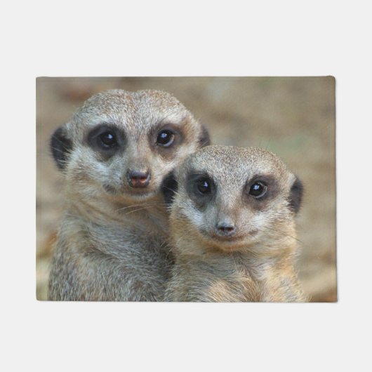 メルカット085 ドアマット (正面)