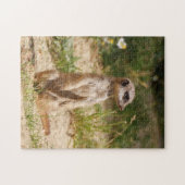 メルカット2014-0901 ジグソーパズル (横)