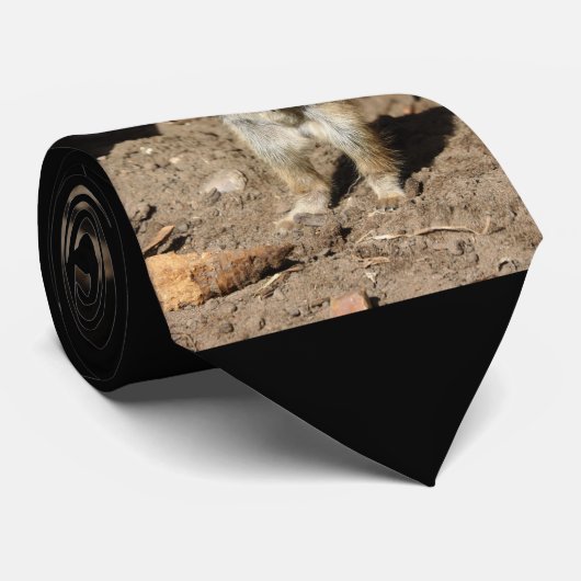 メルカット20160203 ネクタイ (ロール)