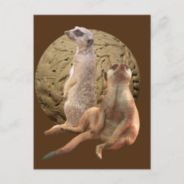 メルカツインディアナポリス動物園 ポストカード