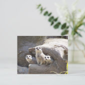 メルカツ ポストカード (スタンド正面)