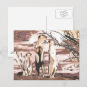 メルカツ ポストカード (正面/裏面)