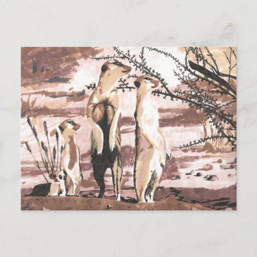 メルカツ ポストカード (正面)