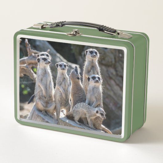 メルカツ メタルランチボックス (正面)