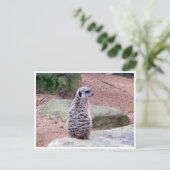 メルカトの背中 ポストカード (スタンド正面)