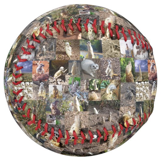 メルカト写真コラージュ、ソフトボール ソフトボール (正面左)