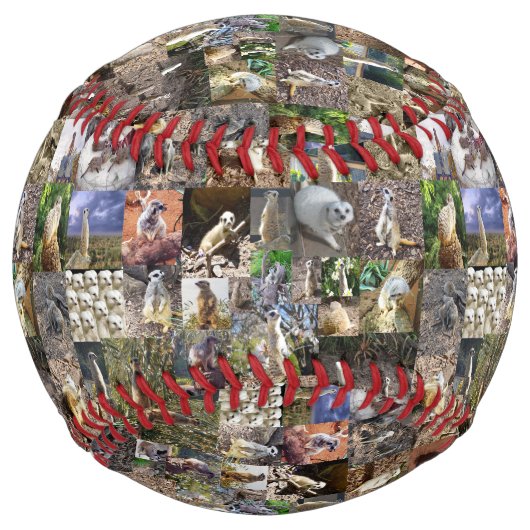 メルカト写真コラージュ、ソフトボール ソフトボール (正面)