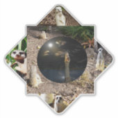 メルカト・ポリスコープ シール (正面)