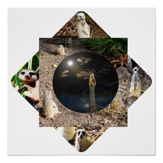 メルカト・ポリスコープ ポスター (正面)