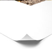 メルカト・ポリスコープ ポスター (コーナー)