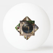 メルカト・ポリスコープ 卓球ボール (裏面)