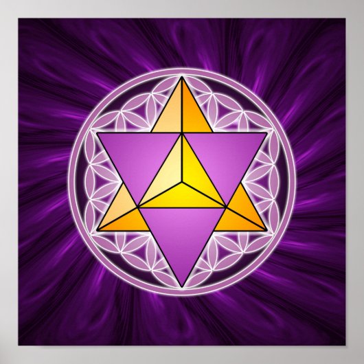 メルカバと命の花 ポスター (正面)