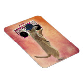 メルカートとブームボックス マグネット (右側)