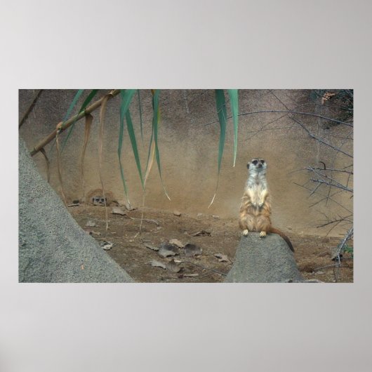 メルカートのポスター ポスター (正面)