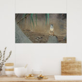 メルカートのポスター ポスター (キッチン)