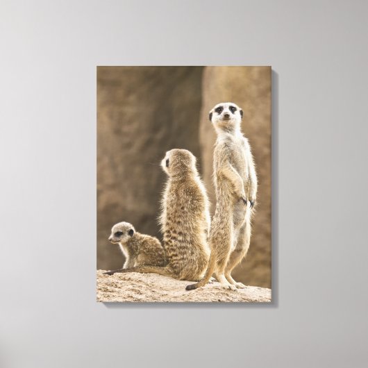 メルカートの家族 キャンバスプリント (正面)