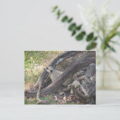 メルカートはがき ポストカード (スタンド正面)