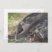 メルカートはがき ポストカード (正面/裏面)