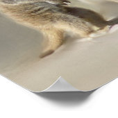 メルカートベビーツイン ポスター (角)