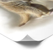 メルカートベビーツイン ポスター (角)