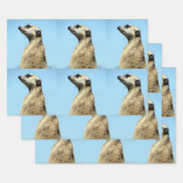 メルカートラッピング紙シート ラッピングペーパーシート